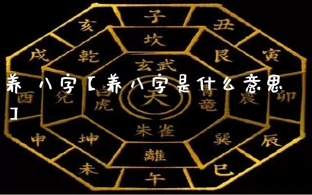 养 八字【养八字是什么意思】_https://www.dao-sheng-yuan.com_易经_第1张