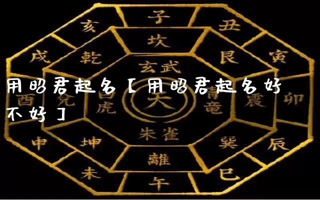 用昭君起名【用昭君起名好不好】_https://www.dao-sheng-yuan.com_生肖属相_第1张
