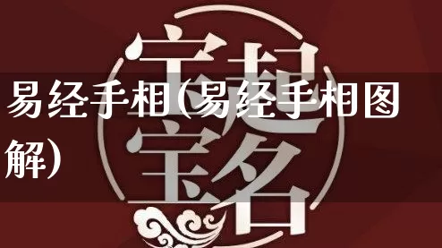 易经手相(易经手相图解)_https://www.dao-sheng-yuan.com_生肖属相_第1张