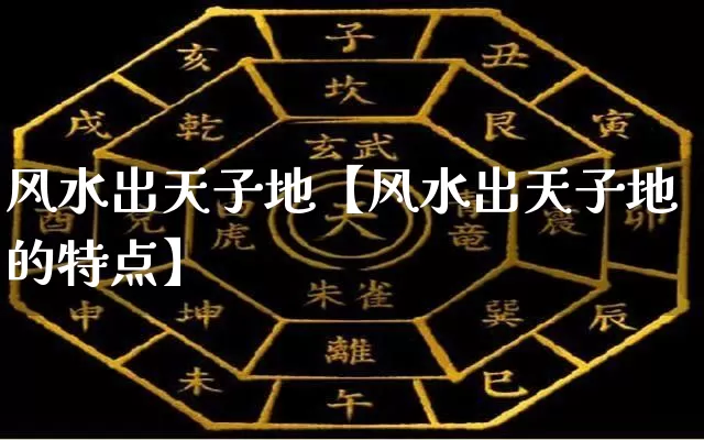 风水出天子地【风水出天子地的特点】_https://www.dao-sheng-yuan.com_道源国学_第1张
