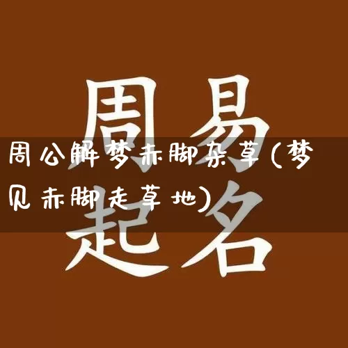 周公解梦赤脚杂草(梦见赤脚走草地)_https://www.dao-sheng-yuan.com_周公解梦_第1张