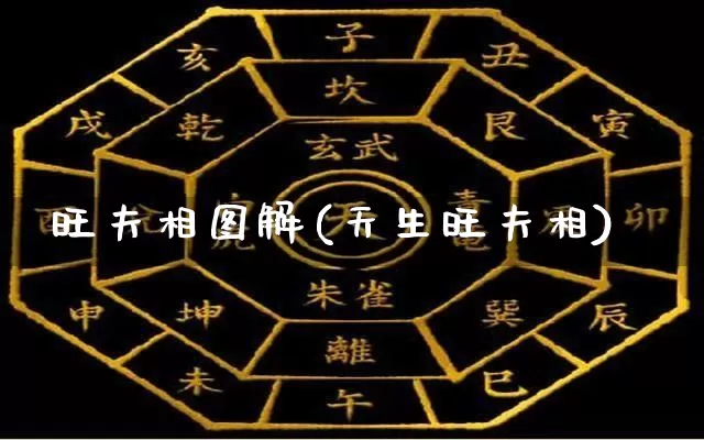 旺夫相图解(天生旺夫相)_https://www.dao-sheng-yuan.com_起名_第1张