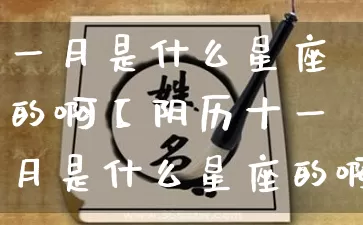 一月是什么星座的啊【阴历十一月是什么星座的啊】_https://www.dao-sheng-yuan.com_易经_第1张
