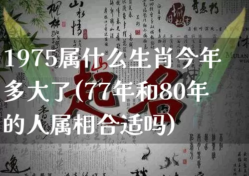 1975属什么生肖今年多大了(77年和80年的人属相合适吗)_https://www.dao-sheng-yuan.com_算命_第1张