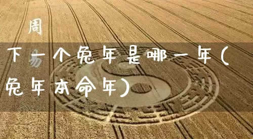下一个兔年是哪一年(兔年本命年)_https://www.dao-sheng-yuan.com_周公解梦_第1张