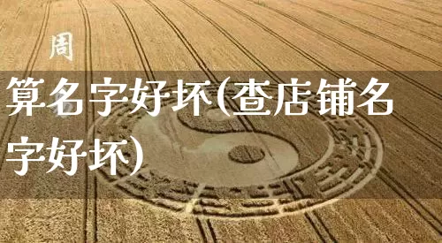 算名字好坏(查店铺名字好坏)_https://www.dao-sheng-yuan.com_起名_第1张