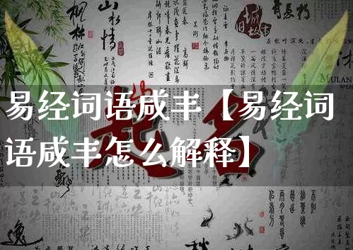 易经词语咸丰【易经词语咸丰怎么解释】_https://www.dao-sheng-yuan.com_十二星座_第1张