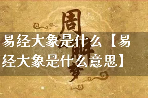 易经大象是什么【易经大象是什么意思】_https://www.dao-sheng-yuan.com_八字_第1张