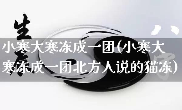 小寒大寒冻成一团(小寒大寒冻成一团北方人说的猫冻)_https://www.dao-sheng-yuan.com_风水_第1张