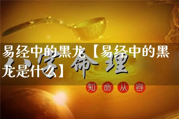 易经中的黑龙【易经中的黑龙是什么】_https://www.dao-sheng-yuan.com_五行_第1张
