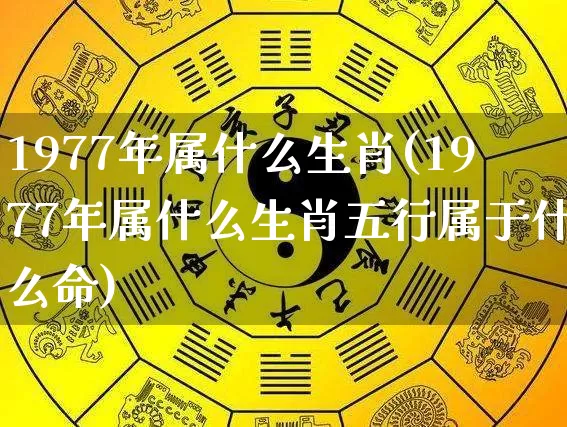 1977年属什么生肖(1977年属什么生肖五行属于什么命)_https://www.dao-sheng-yuan.com_十二星座_第1张