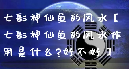 七彩神仙鱼的风水【七彩神仙鱼的风水作用是什么?好不好】_https://www.dao-sheng-yuan.com_八字_第1张