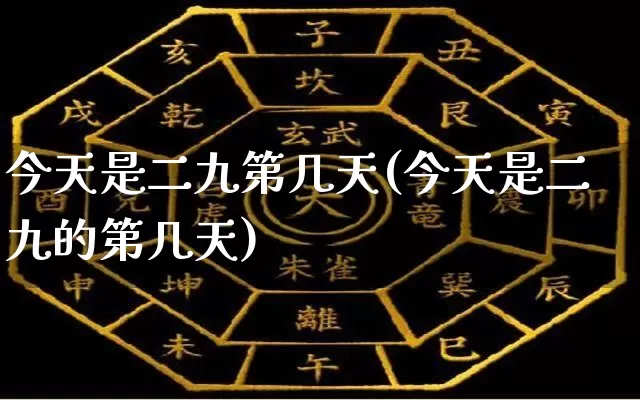 今天是二九第几天(今天是二九的第几天)_https://www.dao-sheng-yuan.com_五行_第1张