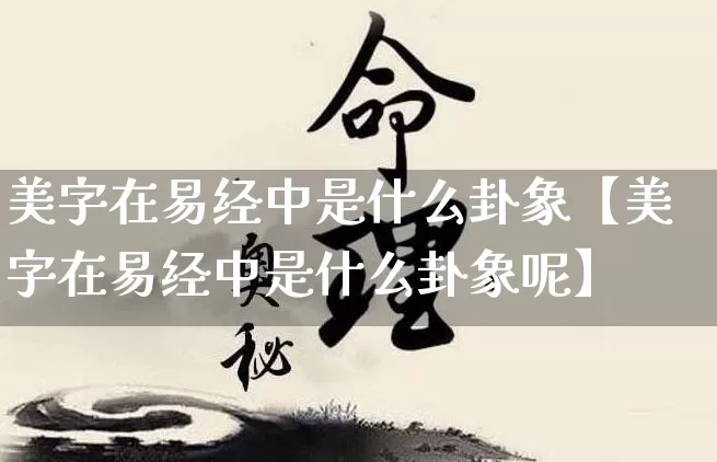 美字在易经中是什么卦象【美字在易经中是什么卦象呢】_https://www.dao-sheng-yuan.com_易经_第1张
