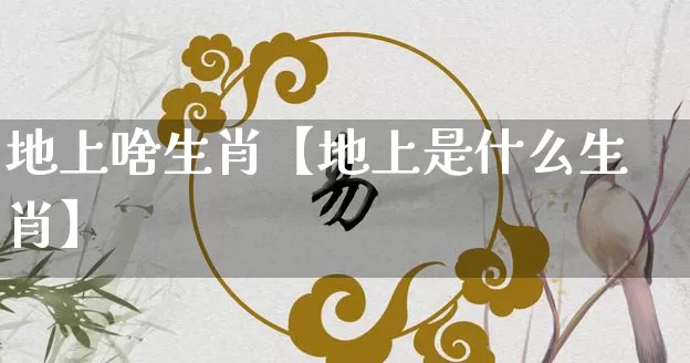 地上啥生肖【地上是什么生肖】_https://www.dao-sheng-yuan.com_道源国学_第1张
