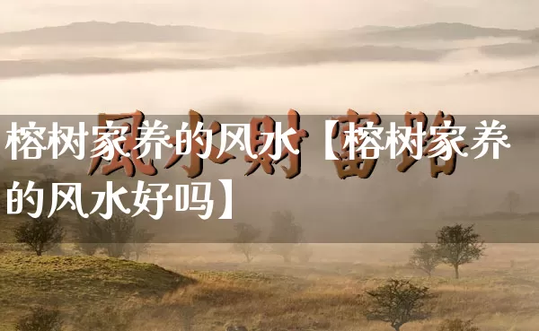 榕树家养的风水【榕树家养的风水好吗】_https://www.dao-sheng-yuan.com_易经_第1张