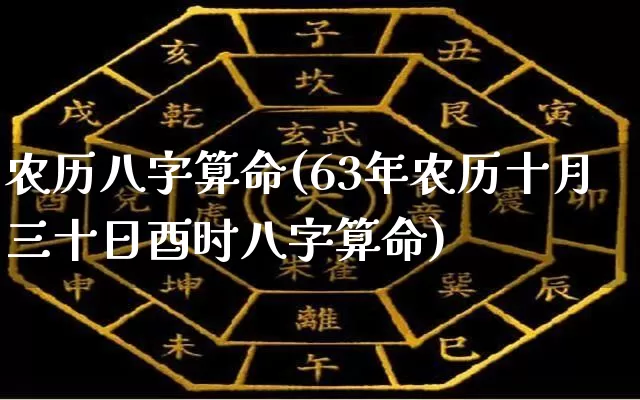 农历八字算命(63年农历十月三十日酉时八字算命)_https://www.dao-sheng-yuan.com_风水_第1张