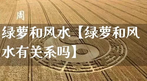 绿萝和风水【绿萝和风水有关系吗】_https://www.dao-sheng-yuan.com_十二星座_第1张