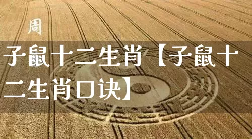 子鼠十二生肖【子鼠十二生肖口诀】_https://www.dao-sheng-yuan.com_道源国学_第1张