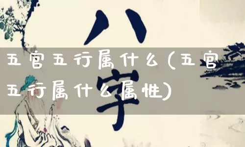 五官五行属什么(五官五行属什么属性)_五行_第1张_道圣缘 五官五行属什么(五官五行属什么属性)_https://www.dao-sheng-yuan.com_五行_第1张