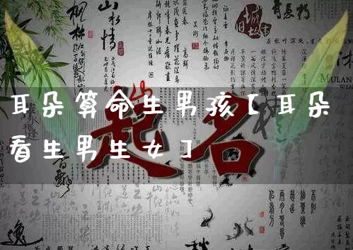耳朵算命生男孩【耳朵看生男生女】_https://www.dao-sheng-yuan.com_五行_第1张
