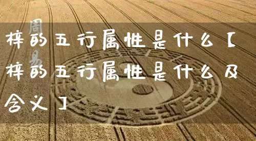 梓的五行属性是什么【梓的五行属性是什么及含义】_五行_第1张_道圣缘 梓的五行属性是什么【梓的五行属性是什么及含义】_https://www.dao-sheng-yuan.com_五行_第1张