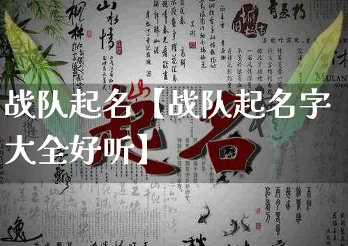 战队起名【战队起名字大全好听】_https://www.dao-sheng-yuan.com_起名_第1张