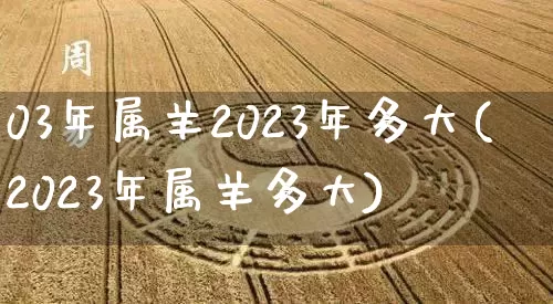 03年属羊2023年多大(2023年属羊多大)_https://www.dao-sheng-yuan.com_十二星座_第1张