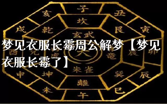 梦见衣服长霉周公解梦【梦见衣服长霉了】_https://www.dao-sheng-yuan.com_道源国学_第1张