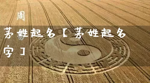 茅姓起名【茅姓起名字】_https://www.dao-sheng-yuan.com_风水_第1张