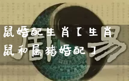 鼠婚配生肖【生肖鼠和属猪婚配】_https://www.dao-sheng-yuan.com_起名_第1张