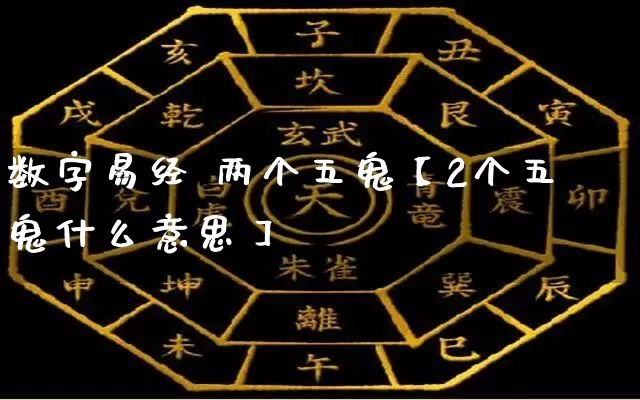 数字易经 两个五鬼【2个五鬼什么意思】_https://www.dao-sheng-yuan.com_易经_第1张