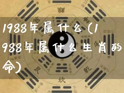 1988年属什么(1988年属什么生肖的命)_https://www.dao-sheng-yuan.com_起名_第1张