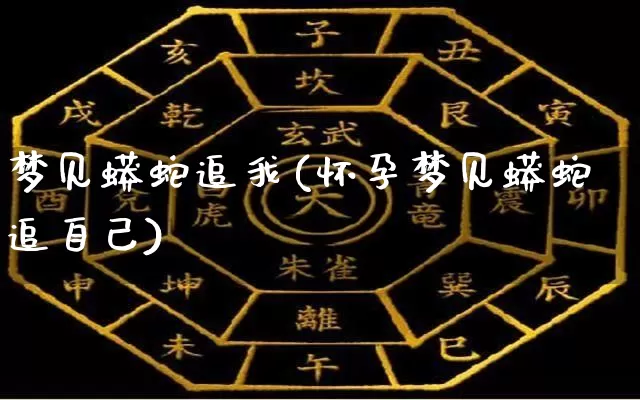 梦见蟒蛇追我(怀孕梦见蟒蛇追自己)_https://www.dao-sheng-yuan.com_算命_第1张