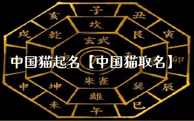 中国猫起名【中国猫取名】_https://www.dao-sheng-yuan.com_起名_第1张