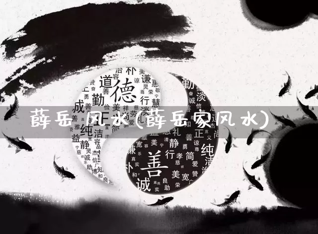 薛岳 风水(薛岳家风水)_https://www.dao-sheng-yuan.com_风水_第1张