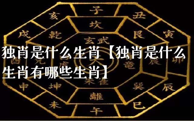 独肖是什么生肖【独肖是什么生肖有哪些生肖】_https://www.dao-sheng-yuan.com_易经_第1张