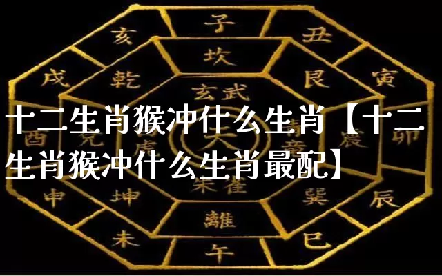 十二生肖猴冲什么生肖【十二生肖猴冲什么生肖最配】_https://www.dao-sheng-yuan.com_生肖属相_第1张