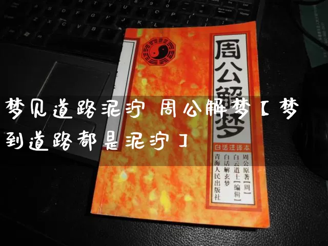 梦见道路泥泞 周公解梦【梦到道路都是泥泞】_https://www.dao-sheng-yuan.com_周公解梦_第1张