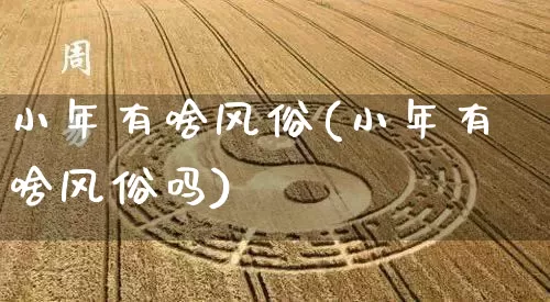 小年有啥风俗(小年有啥风俗吗)_https://www.dao-sheng-yuan.com_八字_第1张