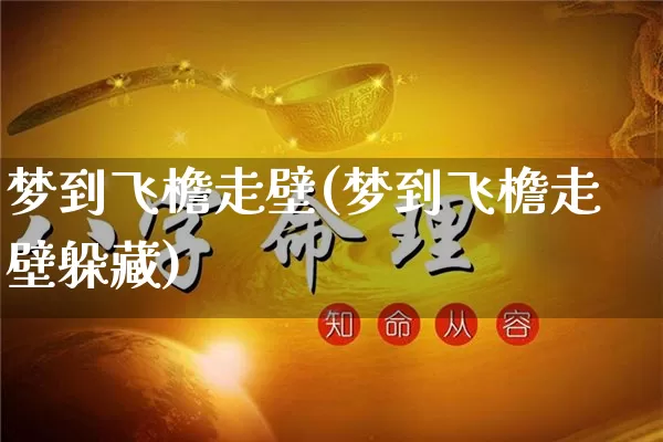 梦到飞檐走壁(梦到飞檐走壁躲藏)_https://www.dao-sheng-yuan.com_算命_第1张