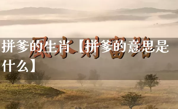 拼爹的生肖【拼爹的意思是什么】_https://www.dao-sheng-yuan.com_八字_第1张