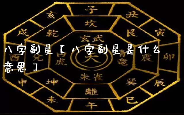 八字副星【八字副星是什么意思】_https://www.dao-sheng-yuan.com_算命_第1张