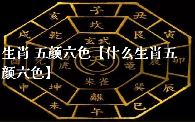 生肖 五颜六色【什么生肖五颜六色】_https://www.dao-sheng-yuan.com_十二星座_第1张