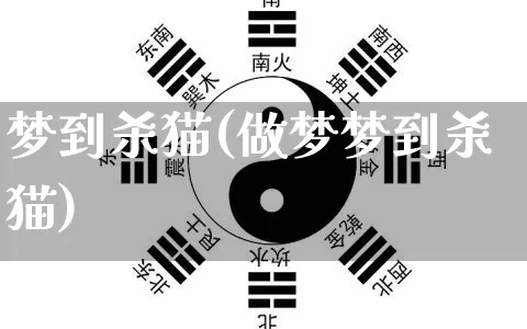 梦到杀猫(做梦梦到杀猫)_https://www.dao-sheng-yuan.com_生肖属相_第1张