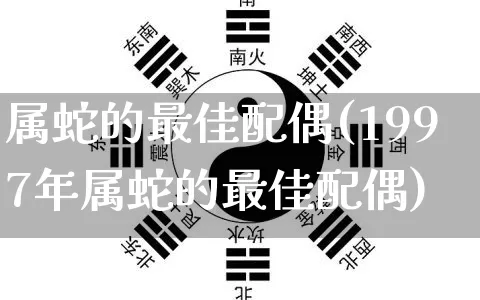 属蛇的最佳配偶(1997年属蛇的最佳配偶)_https://www.dao-sheng-yuan.com_易经_第1张