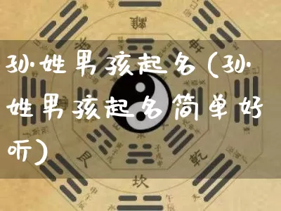 孙姓男孩起名(孙姓男孩起名简单好听)_https://www.dao-sheng-yuan.com_八字_第1张