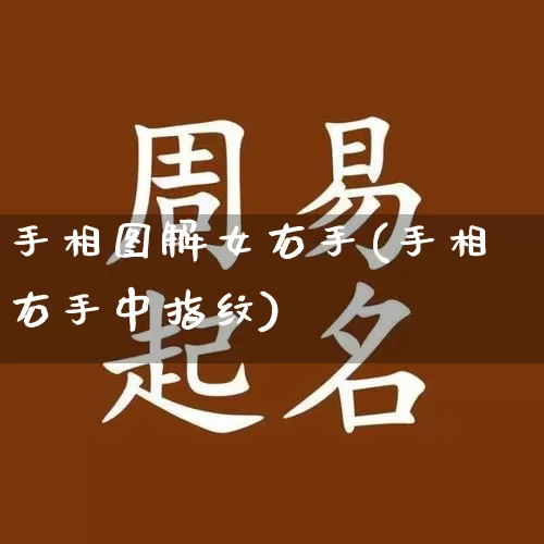 手相图解女右手(手相右手中指纹)_https://www.dao-sheng-yuan.com_八字_第1张