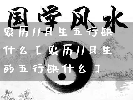 农历11月生五行缺什么【农历11月生的五行缺什么】_https://www.dao-sheng-yuan.com_周公解梦_第1张