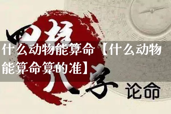 什么动物能算命【什么动物能算命算的准】_https://www.dao-sheng-yuan.com_生肖属相_第1张